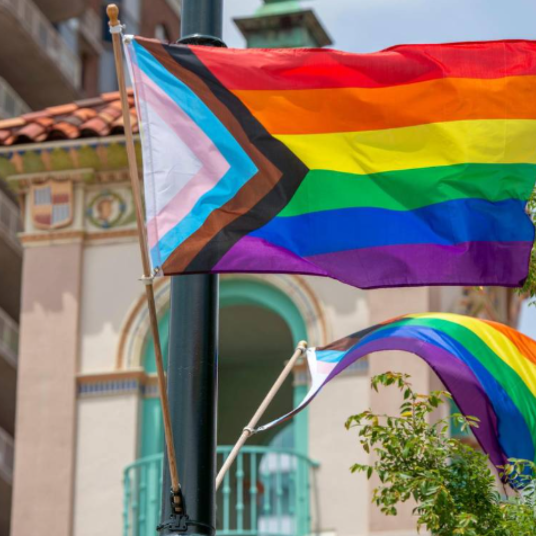 Bandera del orgullo LGBTQ de 3x5 pies